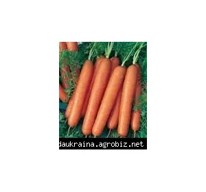 Морковь Смирна 2 гр