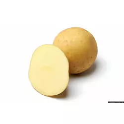 Картофель посевной Медисон