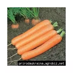Морковь Дордонь F1 1 гр