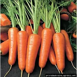 Морковь Абако 1 г