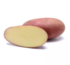  Картопля насіннева Рікарда