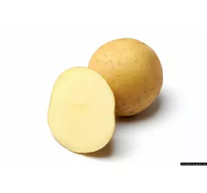 Картофель посевной Медисон