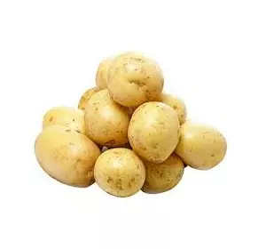 Картопля насіннева  Карелія (1 репродукція )