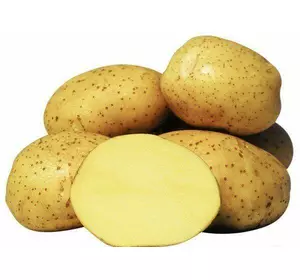  Картопля насіннева Вінєта