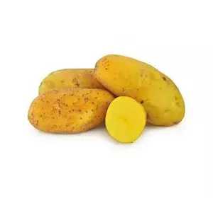 Насіннева картопля Гранада(1 репродукція)