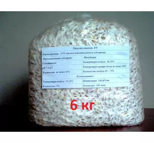 Мицелий грибов вешенка  на зерновом субстрате 6 кг