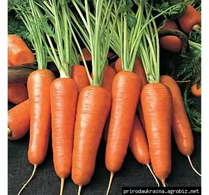 Морковь Абако 1 г