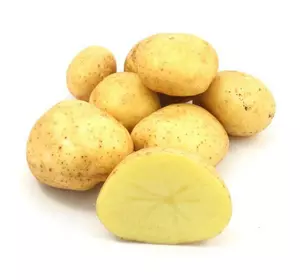  Картопля нассіннева Арізона