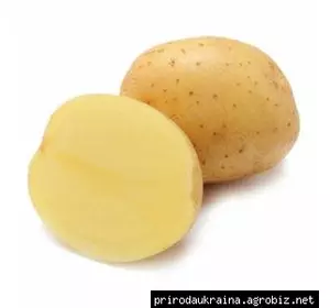 Картофель посевной Вивиана